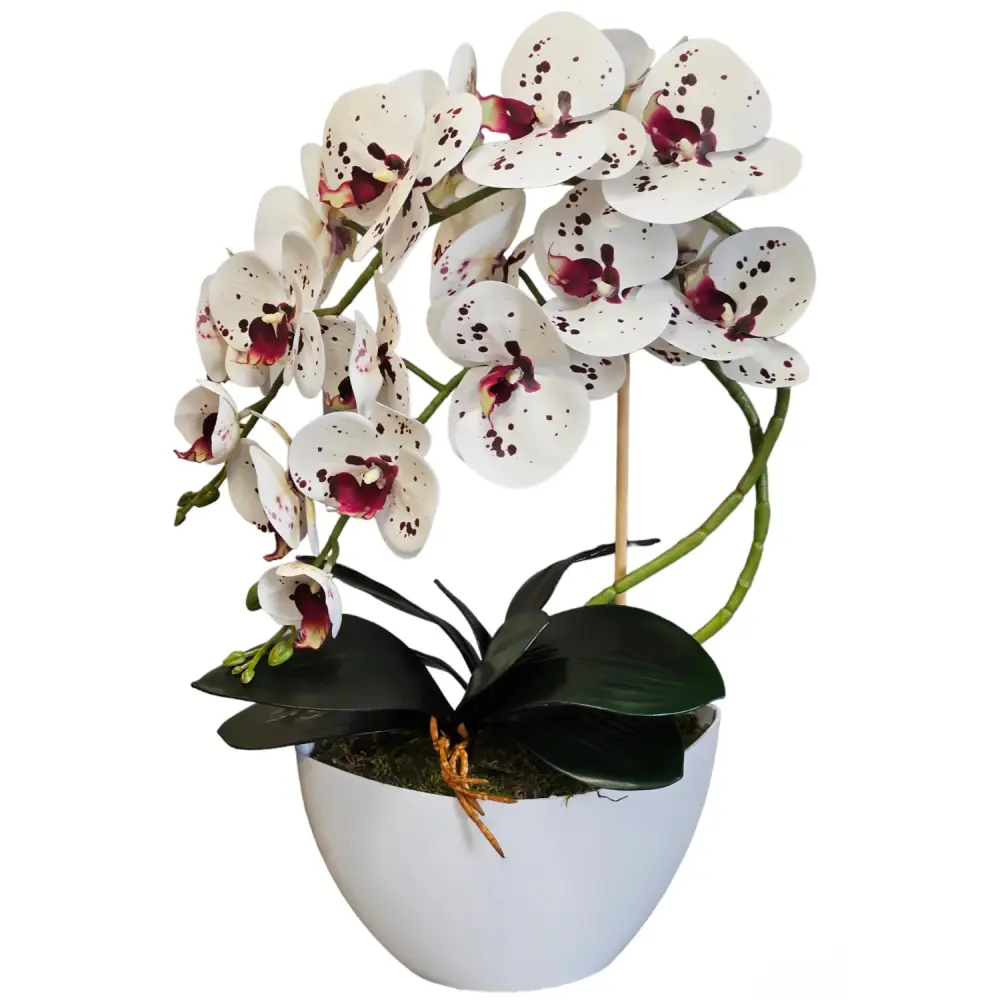 Damich Artificial Orchid Flowers, Realistic Rubberized, 2-Pack