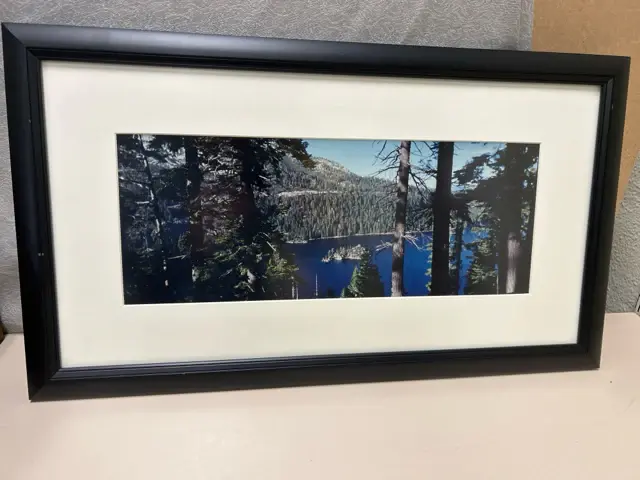 FOREST+LAKE VTG PIC