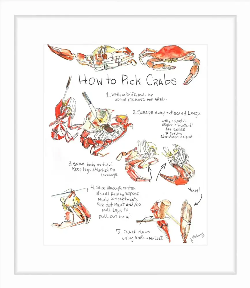 How to Pick Crabs Watercolor Jackie Maloney