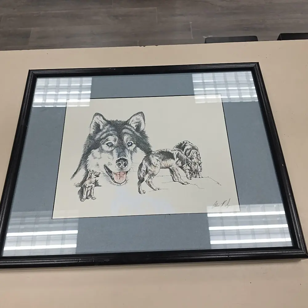 HUSKY - Framed Canvas Print