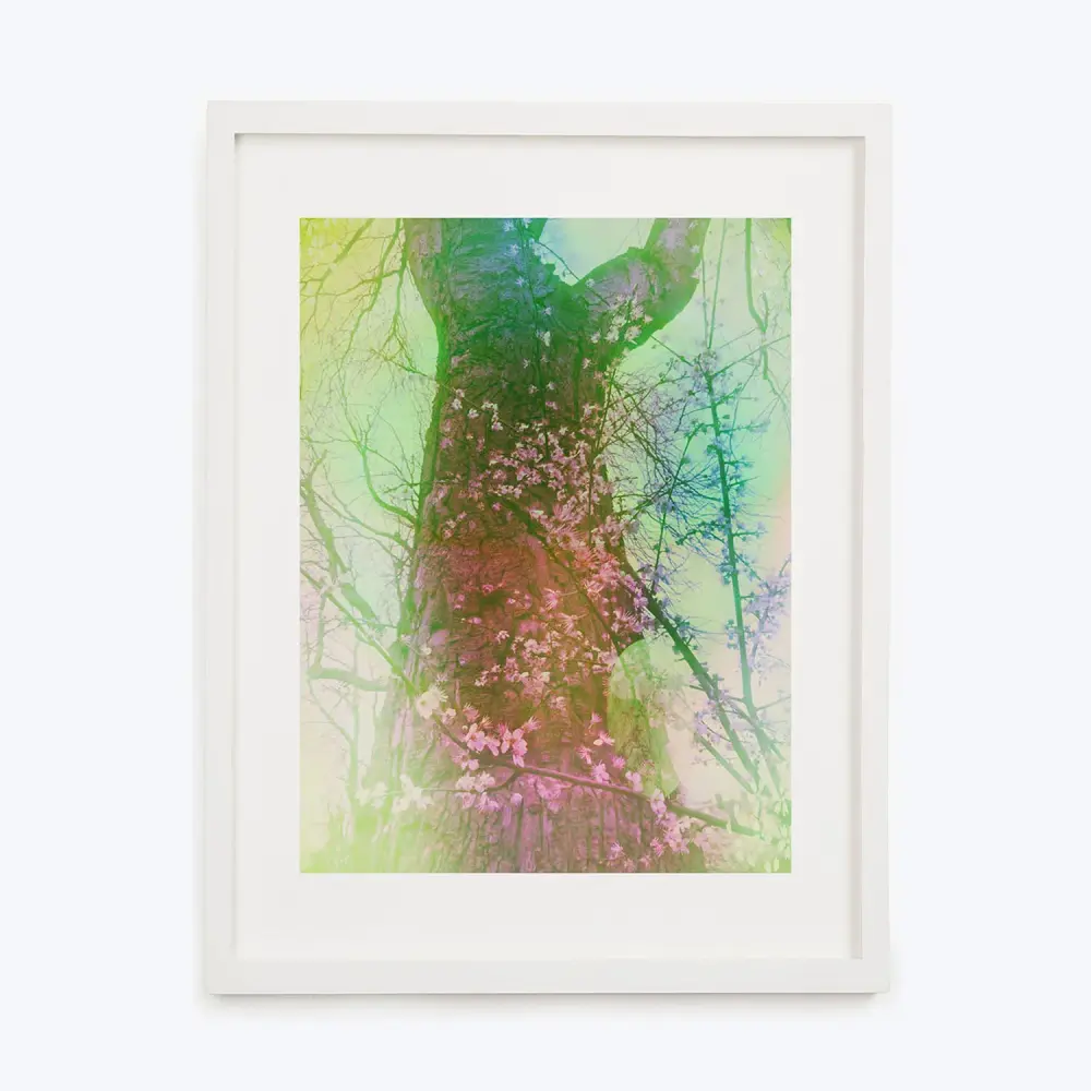 Large Scale Hummingbird Framed
