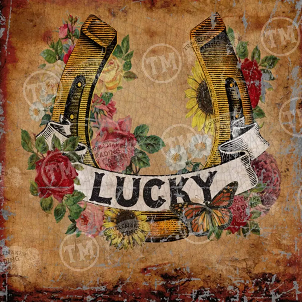 Lucky Horseshoe - Square Framed Artwork Office Wall