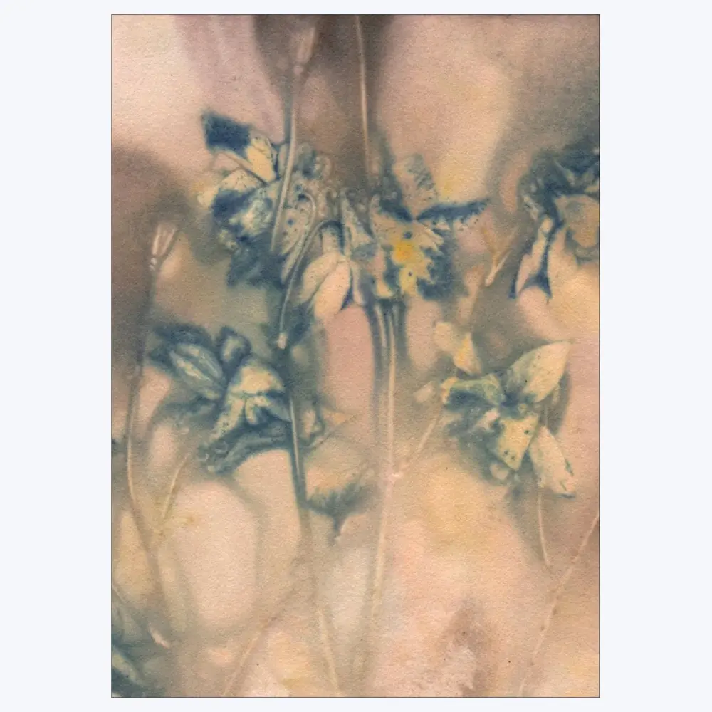 Pernille Folcarelli - Columbine 1 Blue/Tan