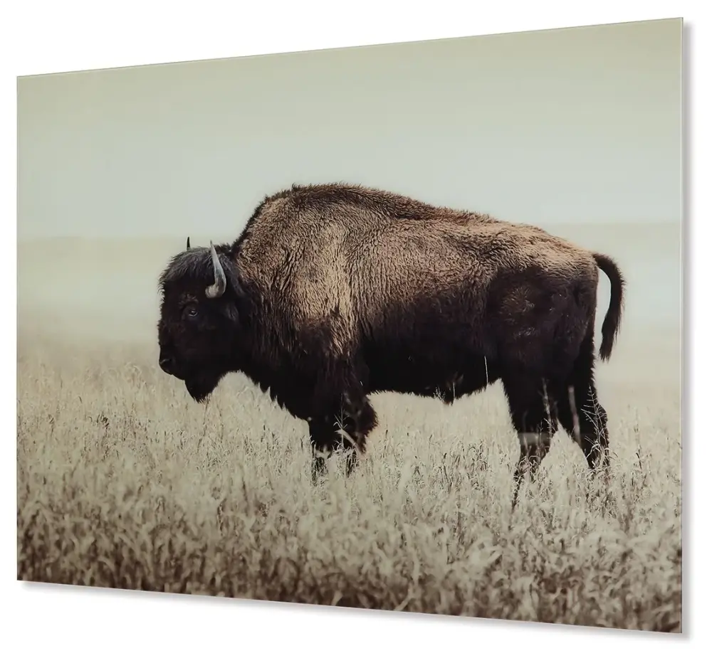 Signed Artist Brutus - Wall Art - Sepia