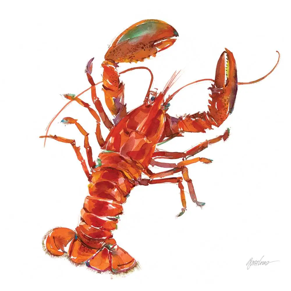 Bar Harbor Lunch Napkins