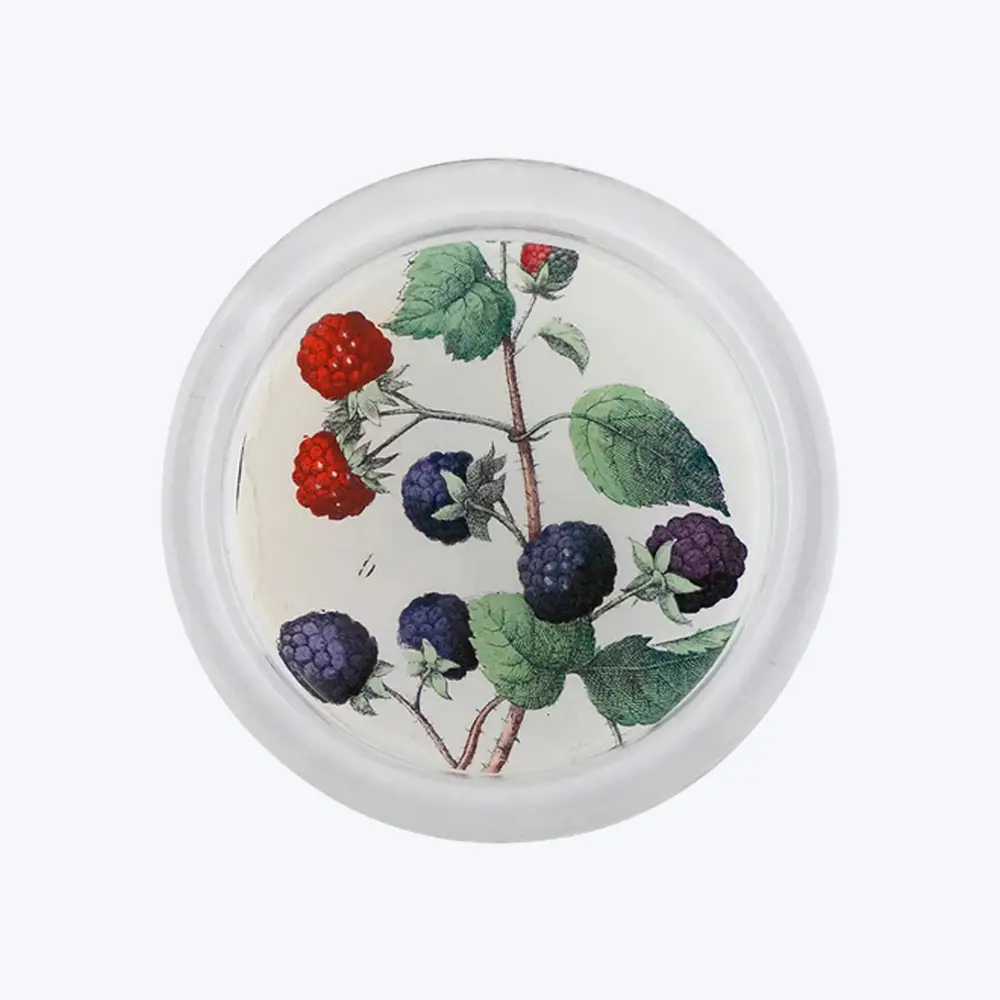 Mixed Berries Coaster