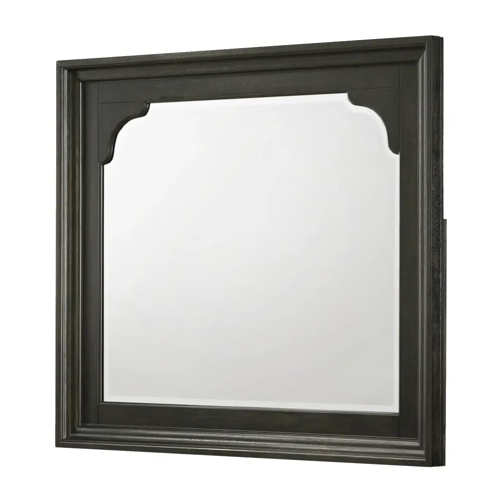 Diamond Modern Furniture CM Hamilton Dresser Mirror B6560-11