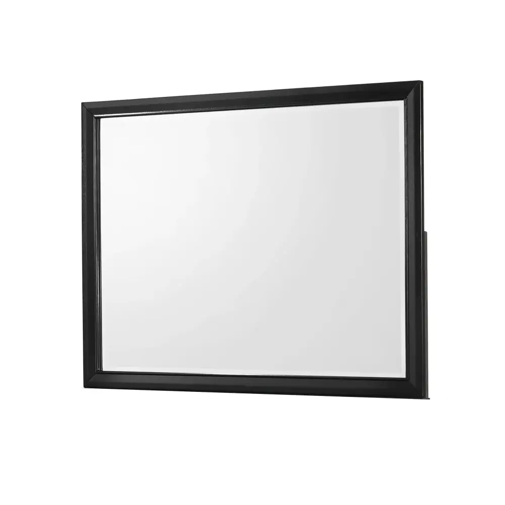 Diamond Modern Furniture CM Micah Dresser Mirror B4350-11