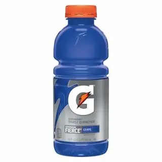 Gatorade Solid 20 oz Wide Mouth Container, Fierce Grape, 24/case, 32482