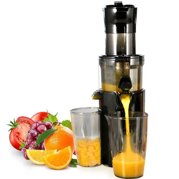 VEVOR Masticating Juicer 2.6", KKX200W800MLV2TOZV1, 840349952222