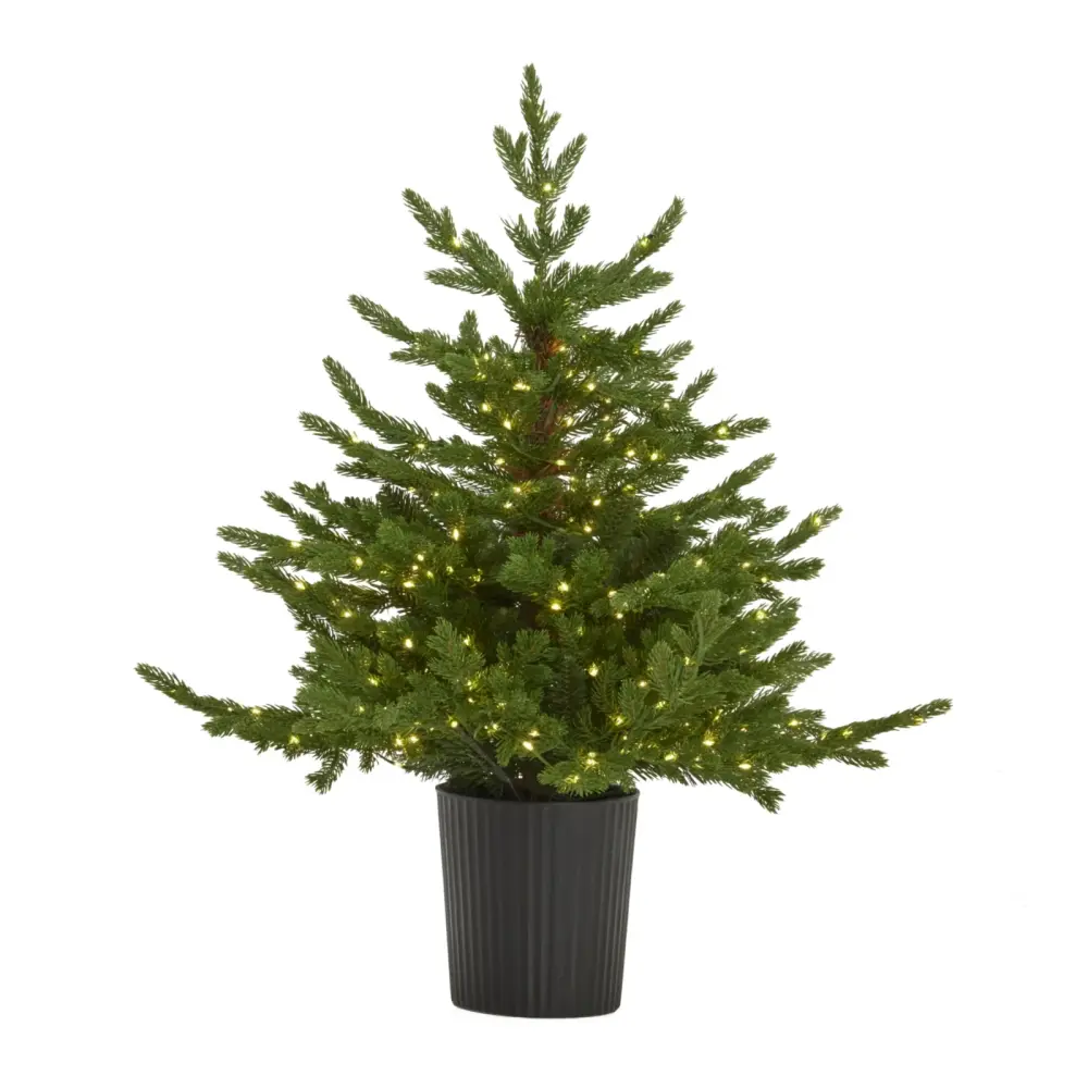 Olive Forest Fir Pre-Lit LED 300L Christmas Tree Pot