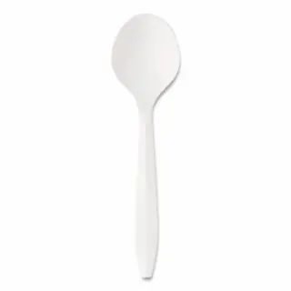 BOARDWALK Weather-Resistant Mediumweight Polypropylene Cutlery, Spoon, Bright White, 1 piece per pack, BWKSPOONMWPP