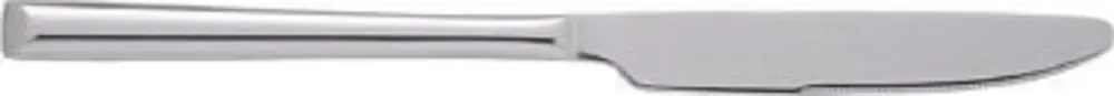 International Guard Tableware Savor 18/0 Stainless Dinner Knife 9-3/8", Chrome Silver, Quantity: 12 pieces, SA-331 In...