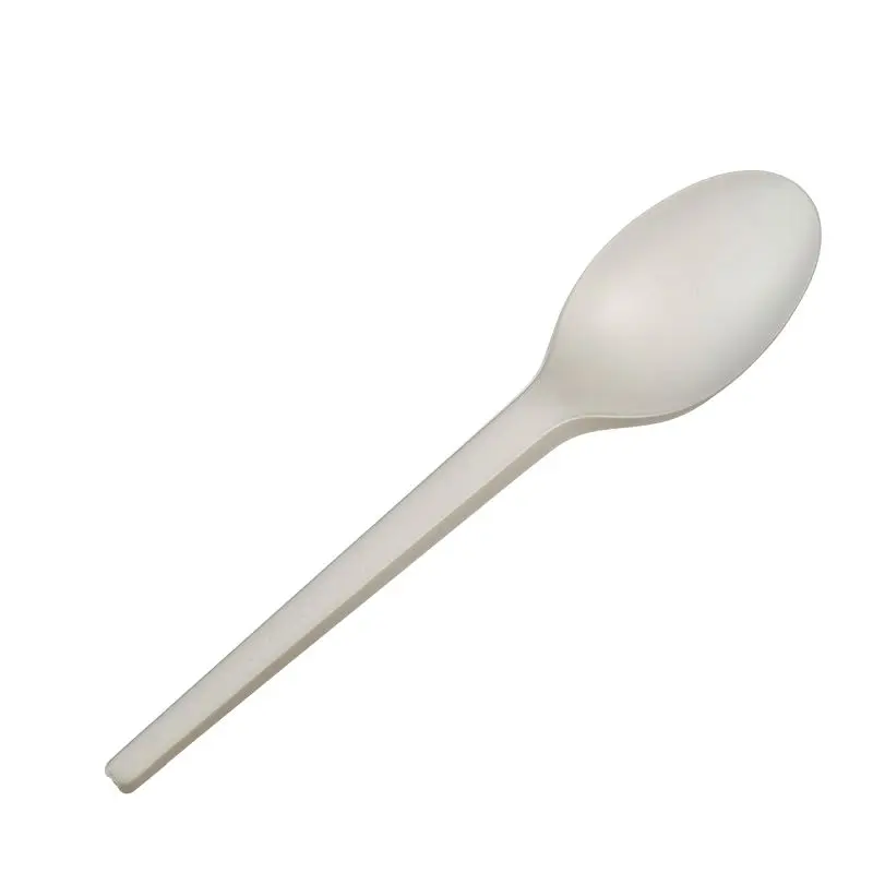 Solia Non-Toxic Spoon CPLA, Plant Starch, Pure White 165mm, 6.5", Case 1000 Pieces, CT10182c