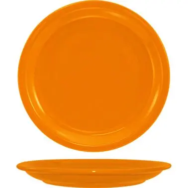 International Extra-Large Tableware Cancun Stoneware Orange NR Plate 9-1/2", Orange, Quantity: 24 pieces, CAN-9-O Int...