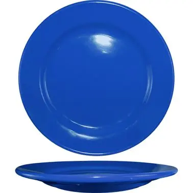 International Professional-Grade Tableware Cancun Stoneware Light Blue WR Plate 12", Light Blue, Quantity: 12 pieces,...