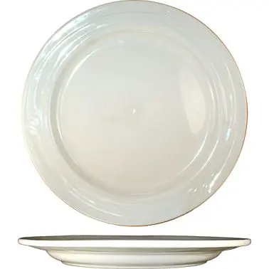 International Reflective Tableware Newport Stoneware Plate 9", American White (Ivory, Eggshell, Cream), Quantity: 24 ...