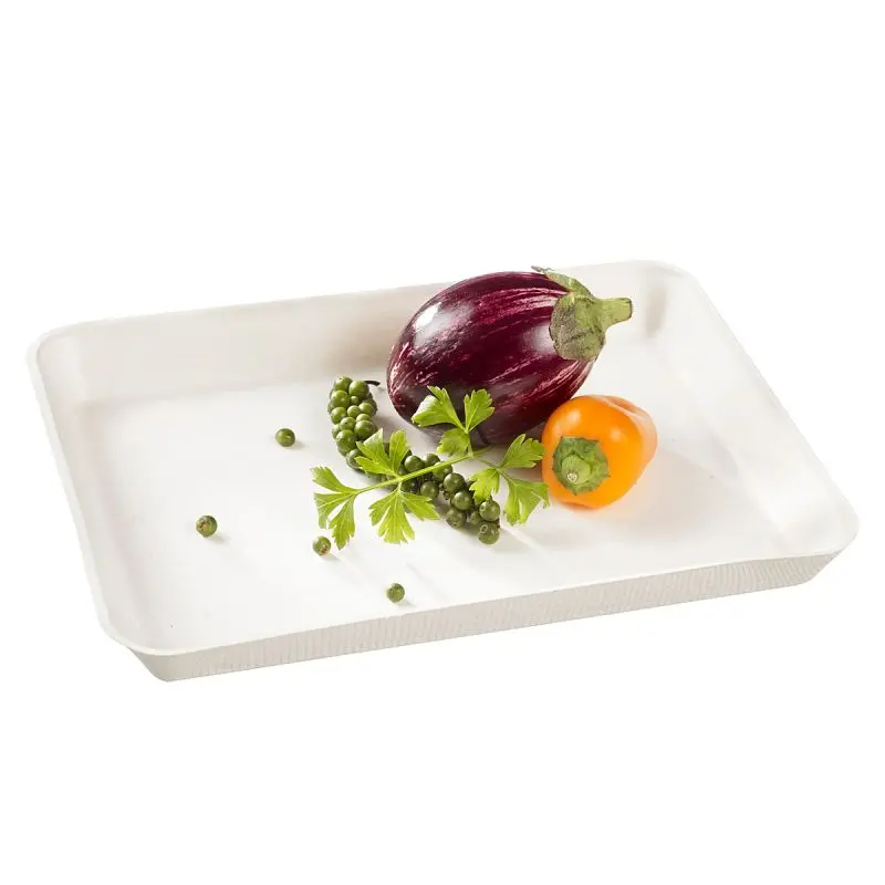 Solia Kanopee White Sugarcane pulp plate 9.4" x 7.1" x 0.8" /240x180x20mm, Lid not included, Case 300 Piec...