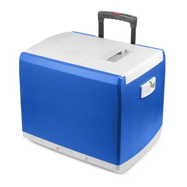 Wagan Luminous 12V Thermo-electric 46qt Cooler, EL6244