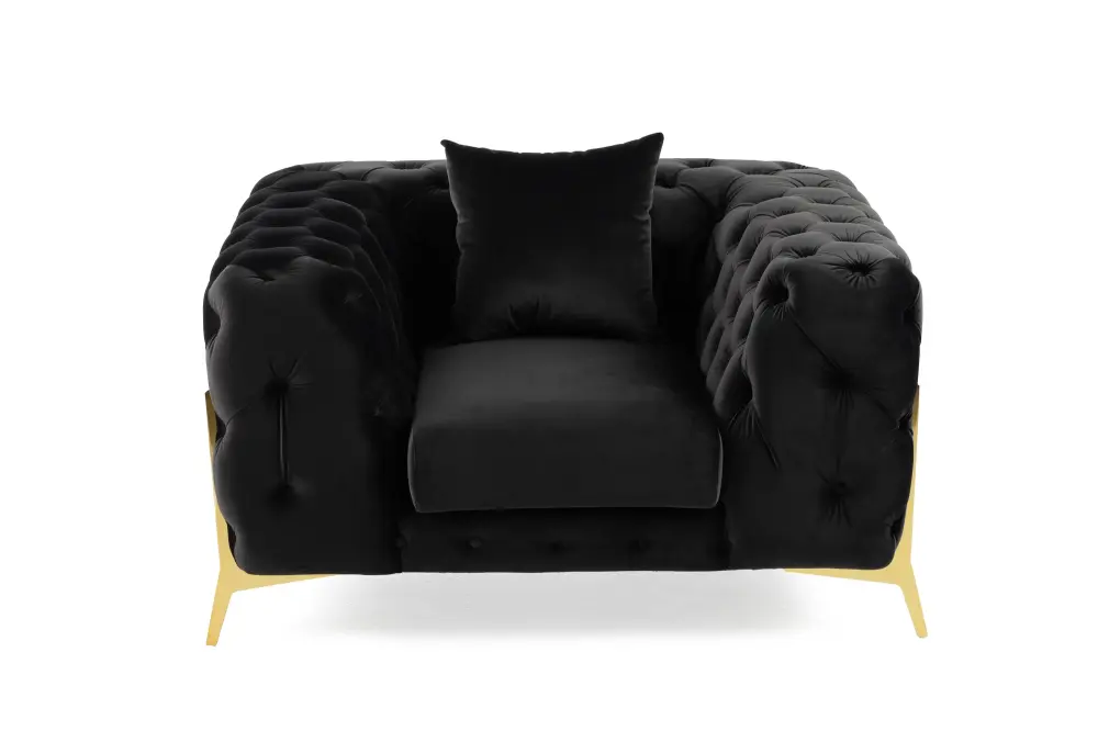 Divani Casa Clarice - Transitional Black Plush Chair Hidden Storage