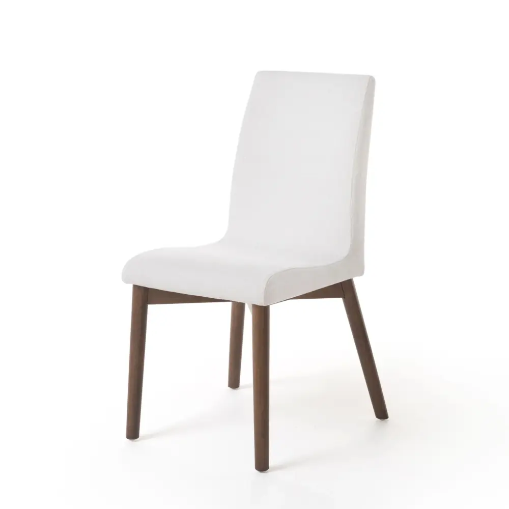 Scandinavian Modern Dining Chair Place