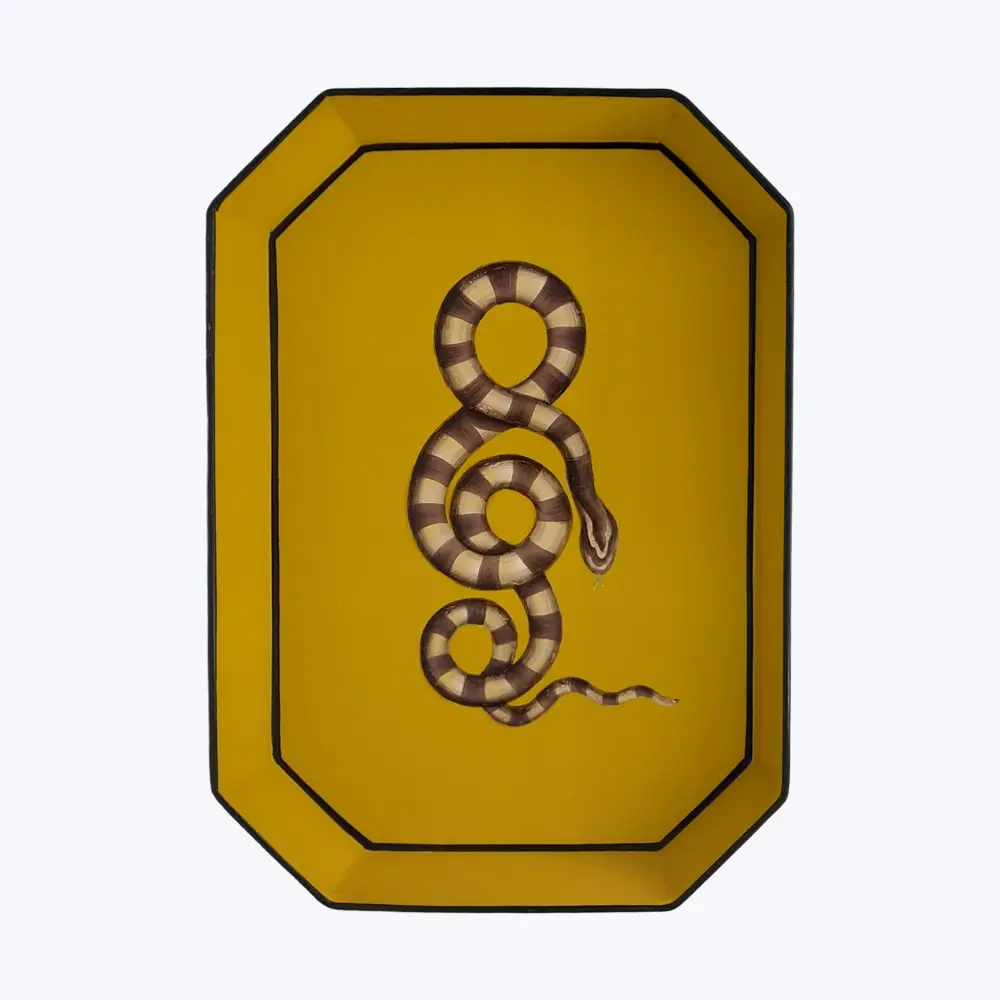 Amber Snake Iron Tray