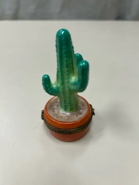 CACTUS LIMOGE BOX
