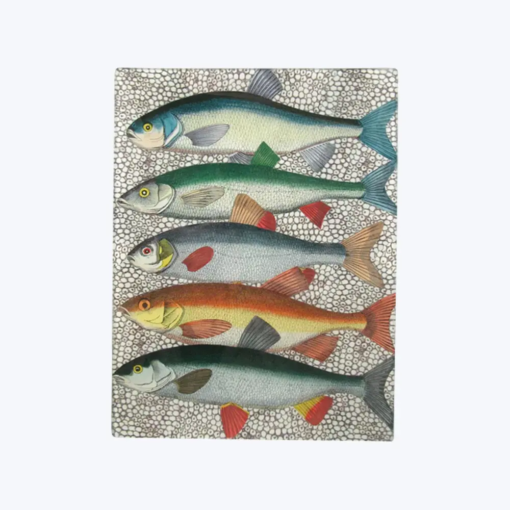 Some Fish Tray