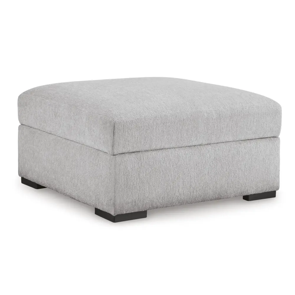 Diamond Modern Furniture Exclusive Design Gabyleigh Fabric Storage Ottoman 2090411