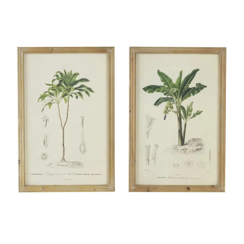 Tree Framed Print (Set 2) - Multicoloured
