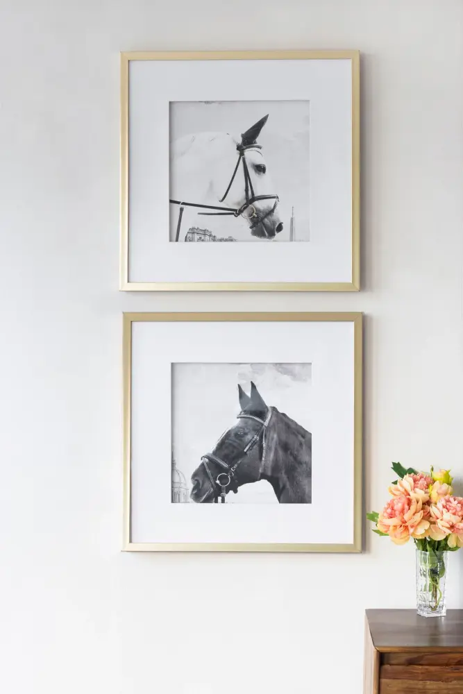 Wall Art Horse Animal Printing, Wall Decor Accent place 2) - Golden / White