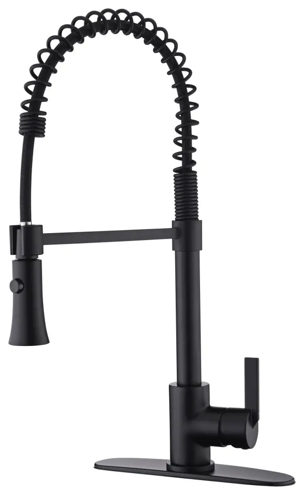 Modern European Residential Single-Handle Pull-Down Sprayer Kitchen Faucet Matte Black