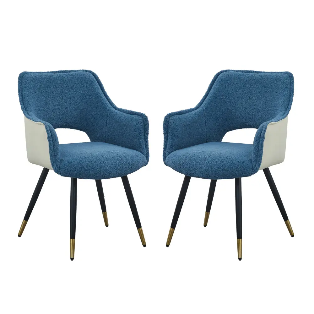 Side Chair, Living Room Bedroom Kitchen Vanity Accent Chair (Set 2) - Indigo
