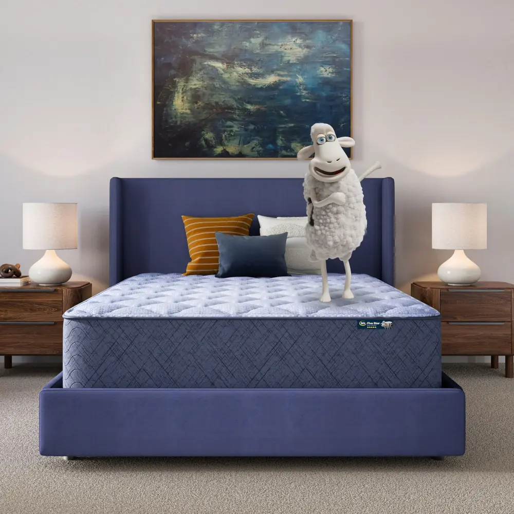 Five Star Mattress - 14" Ideal Day Plush Mattress Box