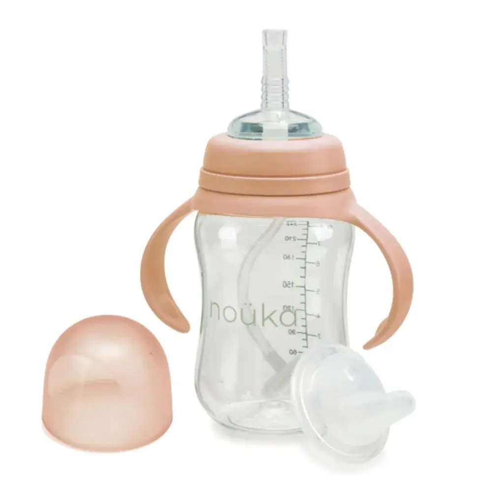 Transitional Sippy/Weighted Straw Cup - Velvety Blush