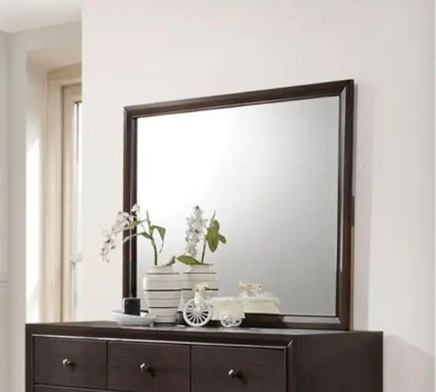 Madison - Mirror - Espresso 5-Year Frame Warranty