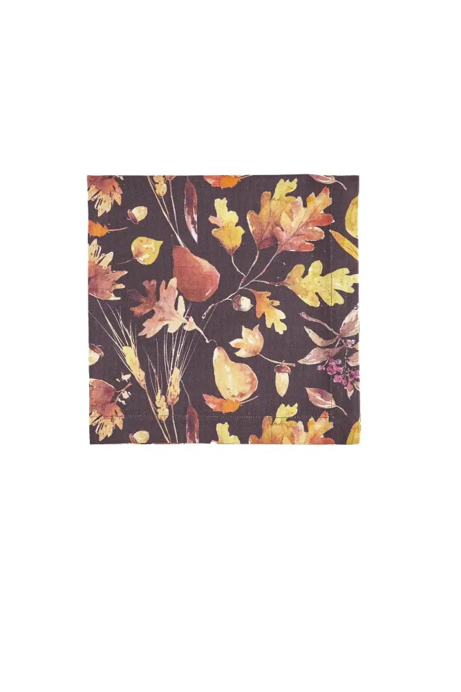 Bountiful Harvest-Brown Napkins-Set 4