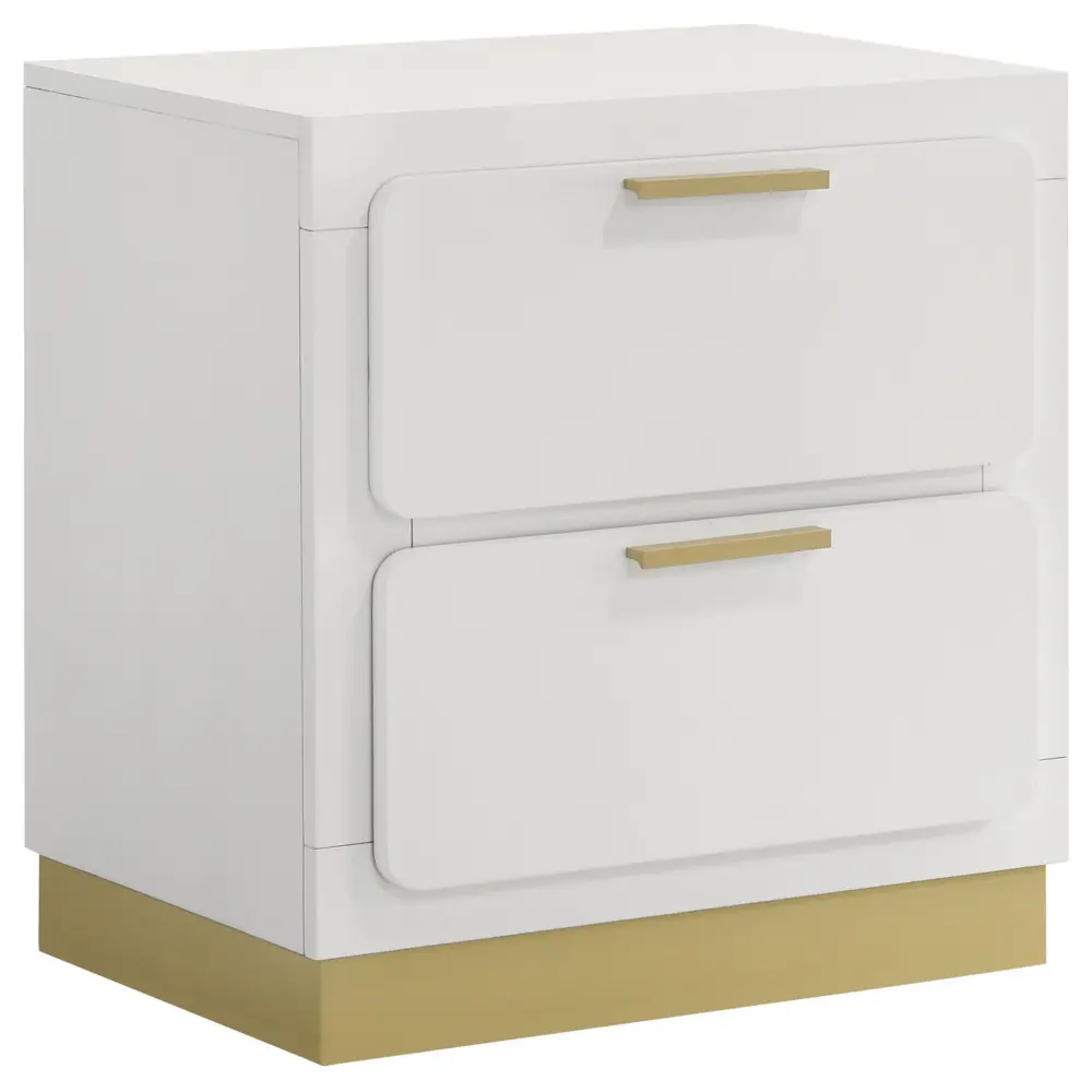 Modern Luxury Nightstand 2 Drawer Storage