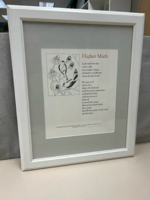 HIGHER MATH BIRD PIC | Museum-Quality Print