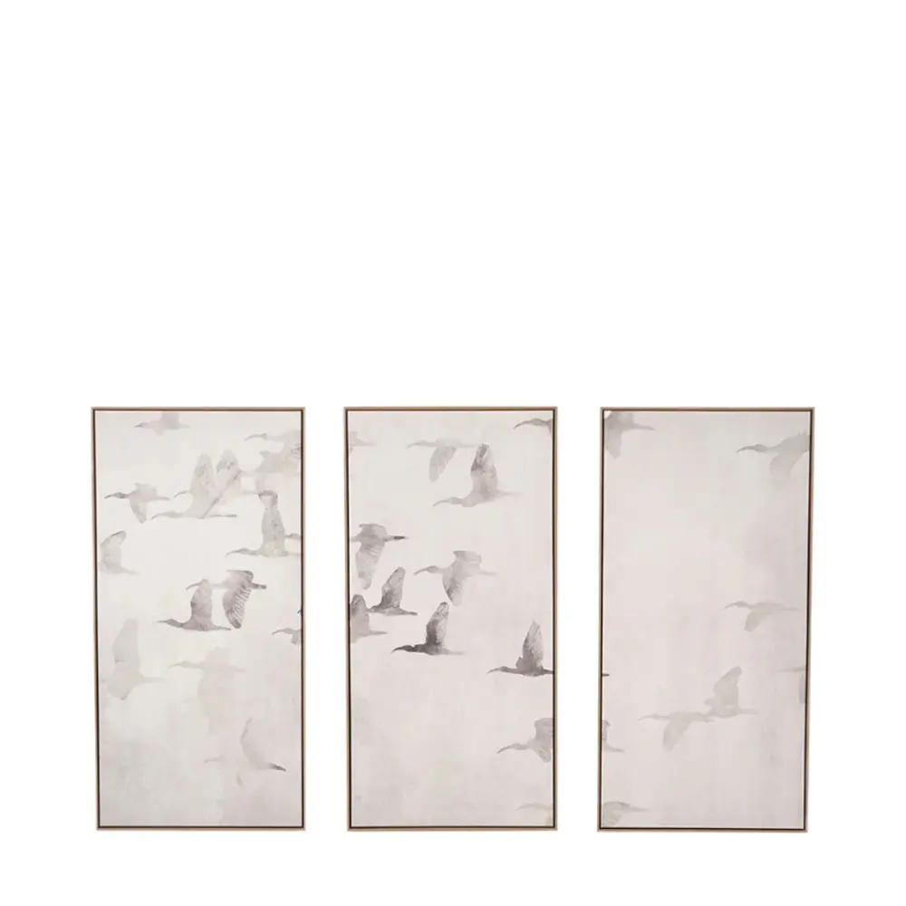Birds Set 3 Canvases - Genuine & White Natural Frames