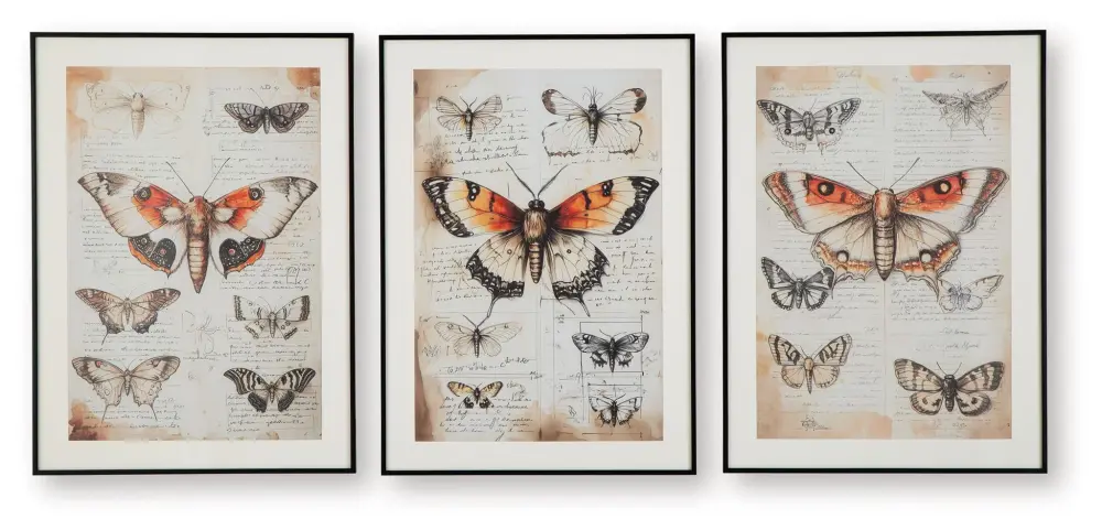 Jossletts - Wall Art Set (Set 3) - Tangerine / Black / Ivory
