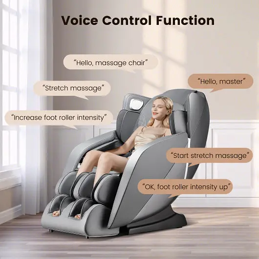 Costway Premium ProVox 27-Full Body Zero Gravity Massage Chair SL Monitor Airbags Heating, Silver Gray, JL10027WL-GR