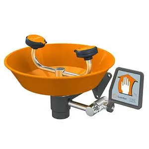 Guardian Wall Mounted Eye/Face Wash, Plastic Bowl, G1750P