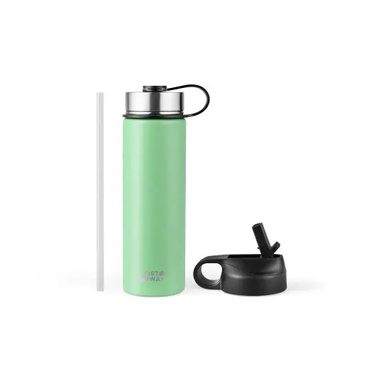 Costway 22 Oz Double-walled Insulated Stainless Alloy Steel Water Bottle 2 Lids and Straw, Green, KC55427TU