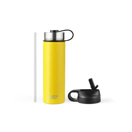 Costway Easy 22 Oz Double-walled Insulated Stainless Steel Water Bottle 2 Lids and Straw, Yellow, KC55427YW