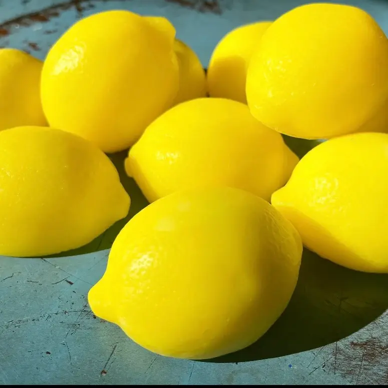 Mini Succulent LEMON GUEST SOAP