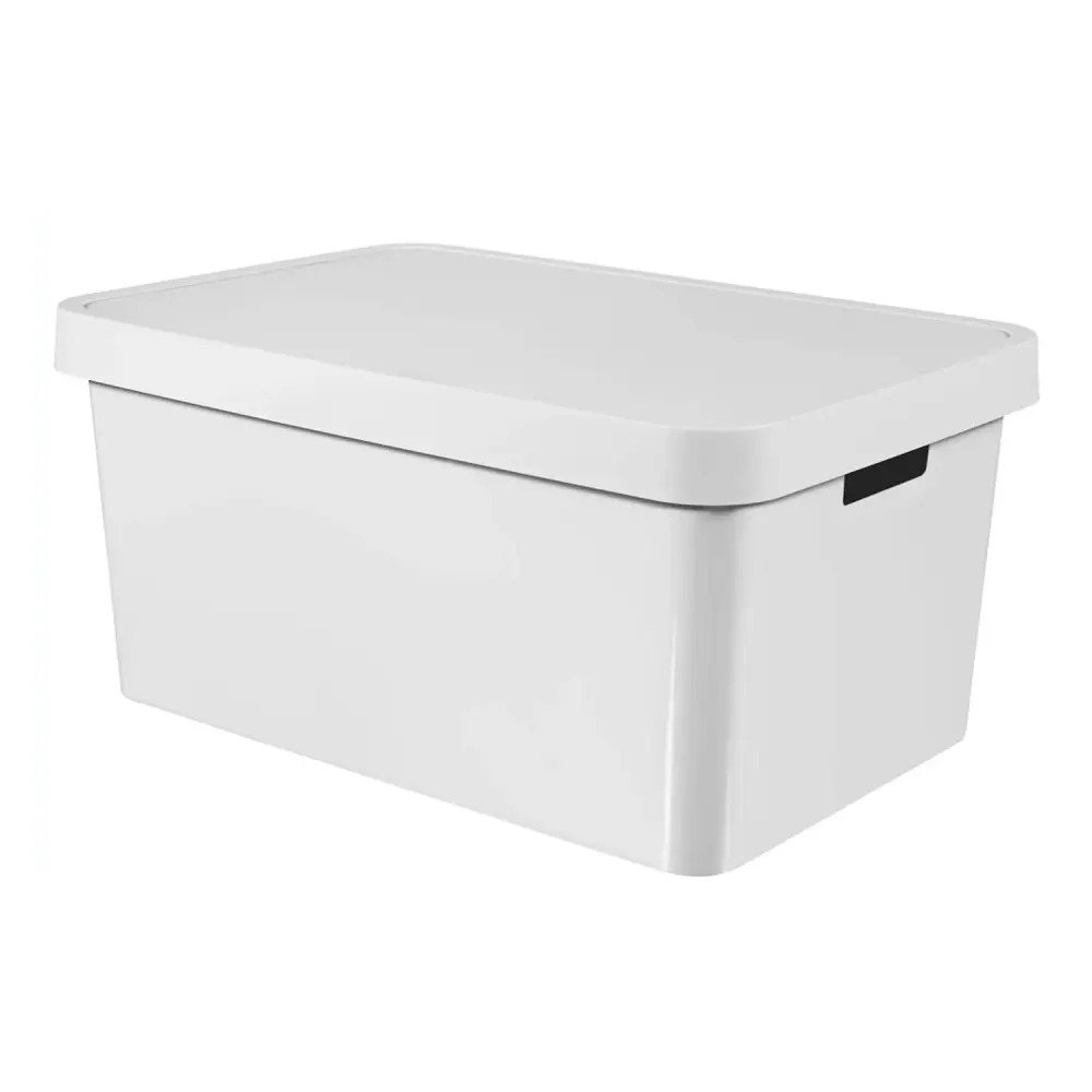 Sizable 45L Storage Box Lid and Handles Curver Infinity Scandinavian Style