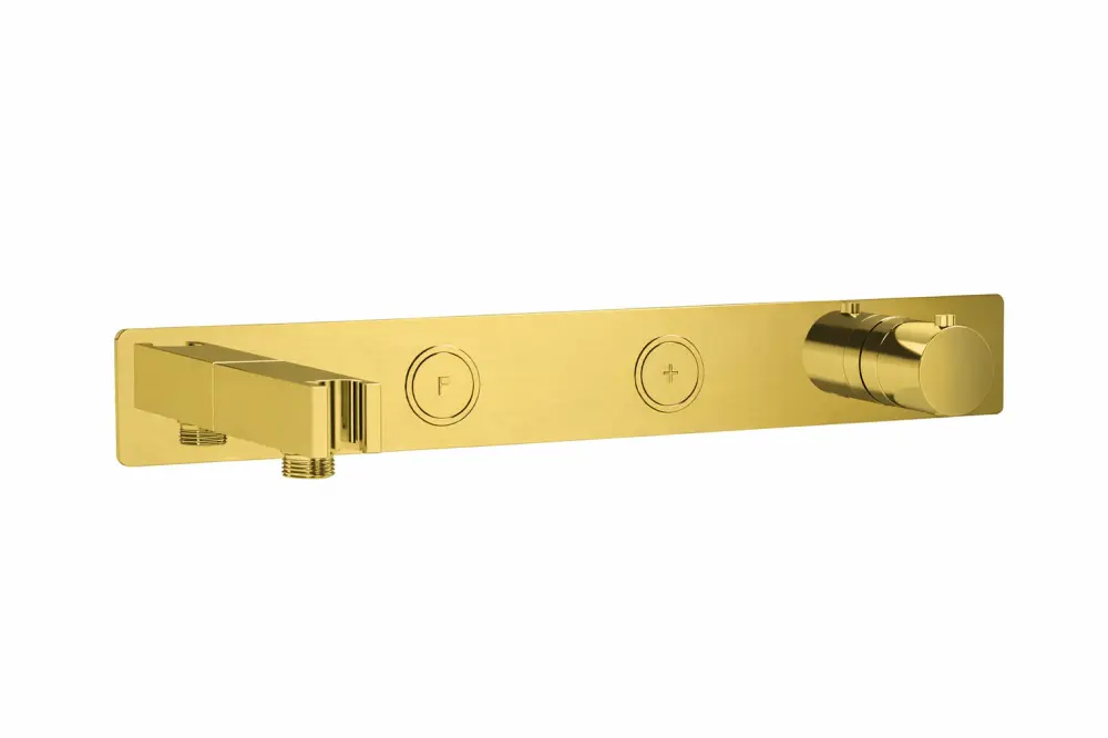 Laghi Universal 2 Outlet Push Button Thermostatic shower Outlet Holder - Brushed Brass