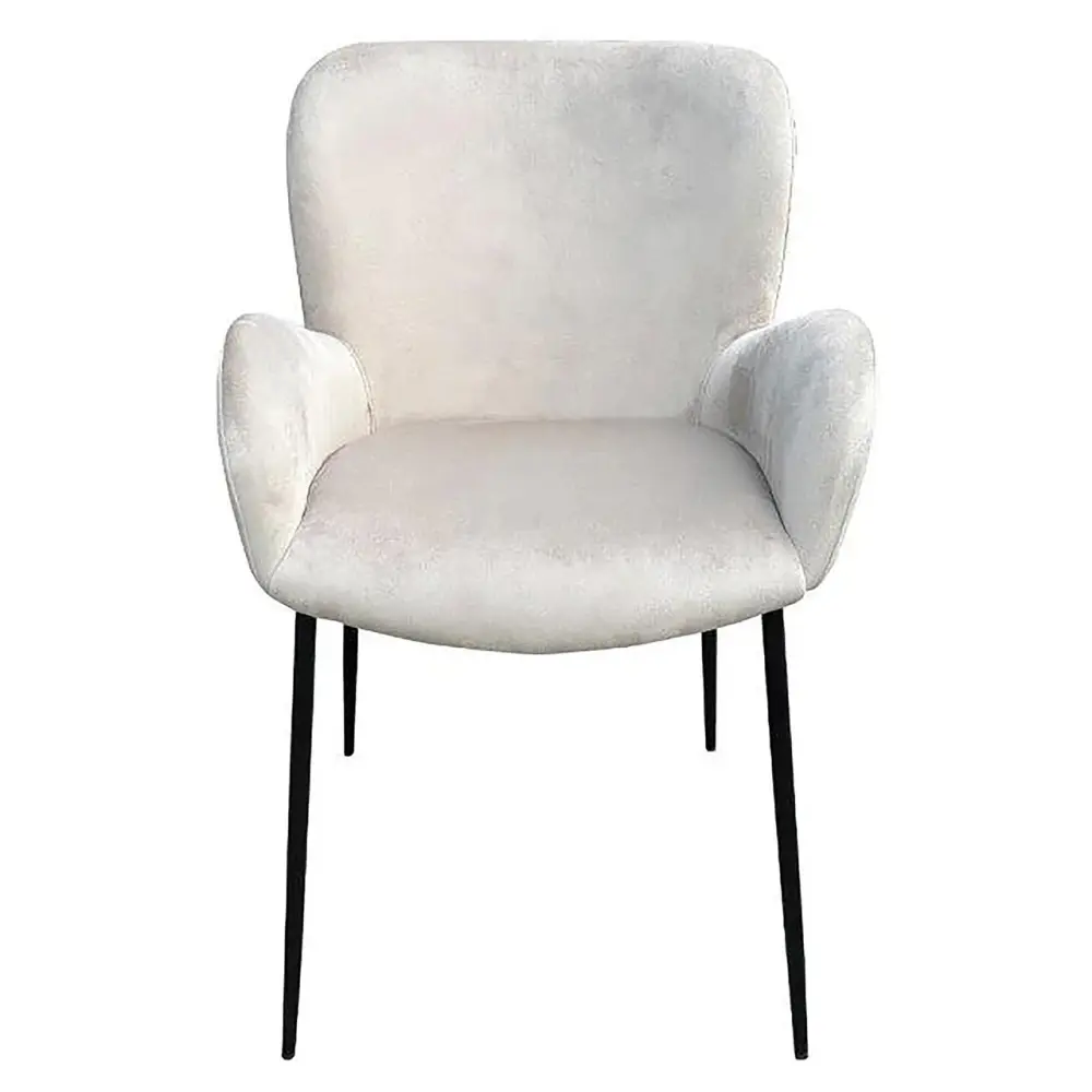 Stainless Steel Amber Armchair - Khaki Velour